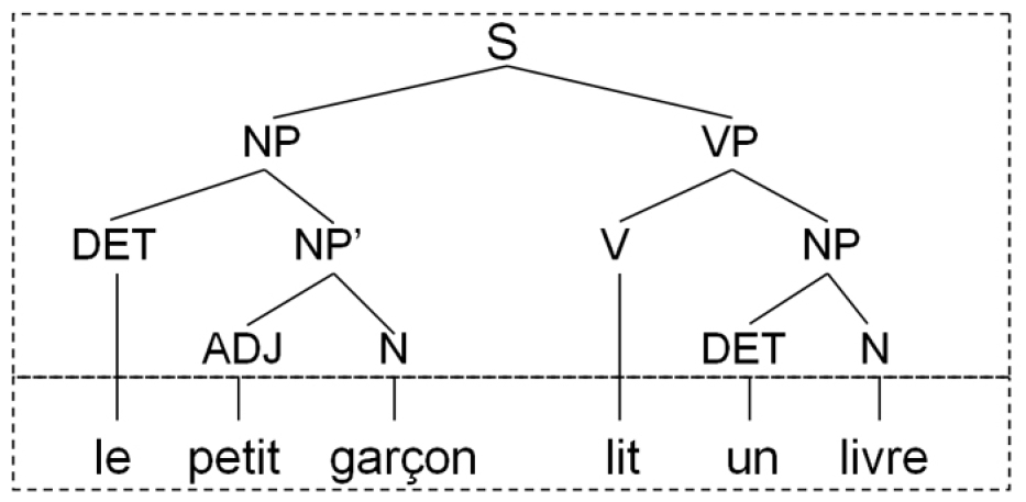 exemple de phrases a analyser